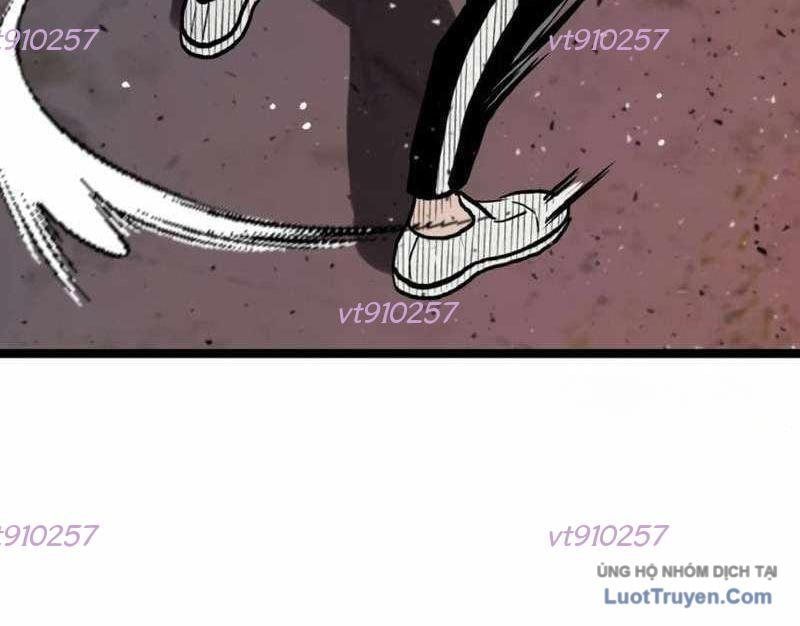 Sự Im Lặng Của Học Sinh Chuyển Trường [Chap 28]