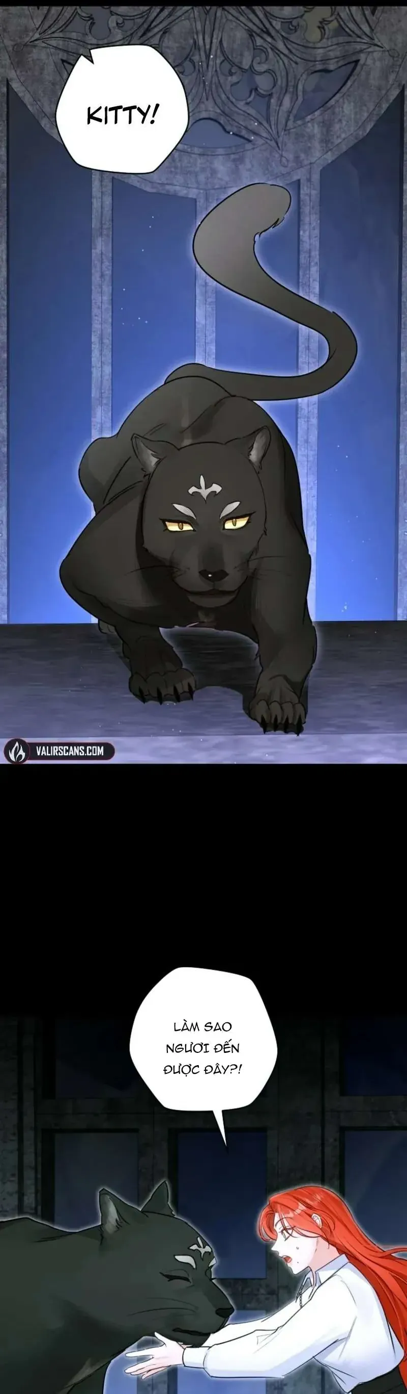 Cuộc hôn nhân xa hoa của đại công tước là giả Chap 89 - Next Chap 88