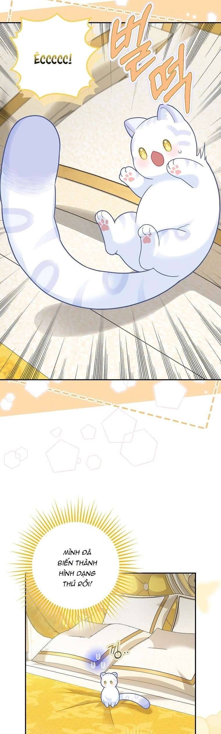 Bé Con Báo Tuyết Của Gia Tộc Báo Đen [Chap 1-45]