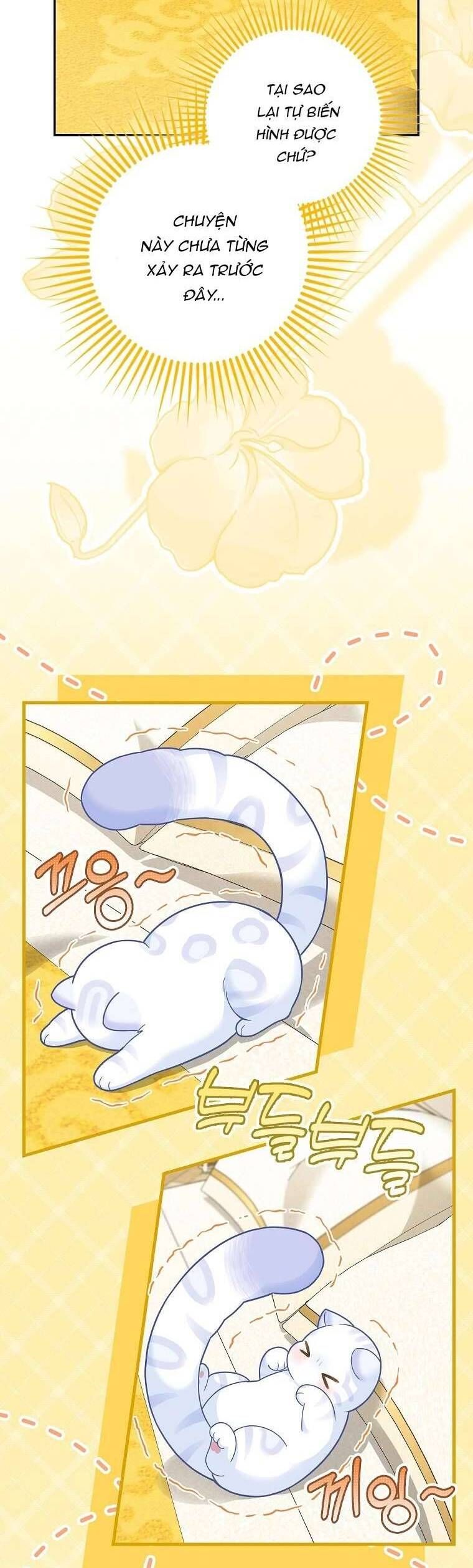 Bé Con Báo Tuyết Của Gia Tộc Báo Đen [Chap 1-45]