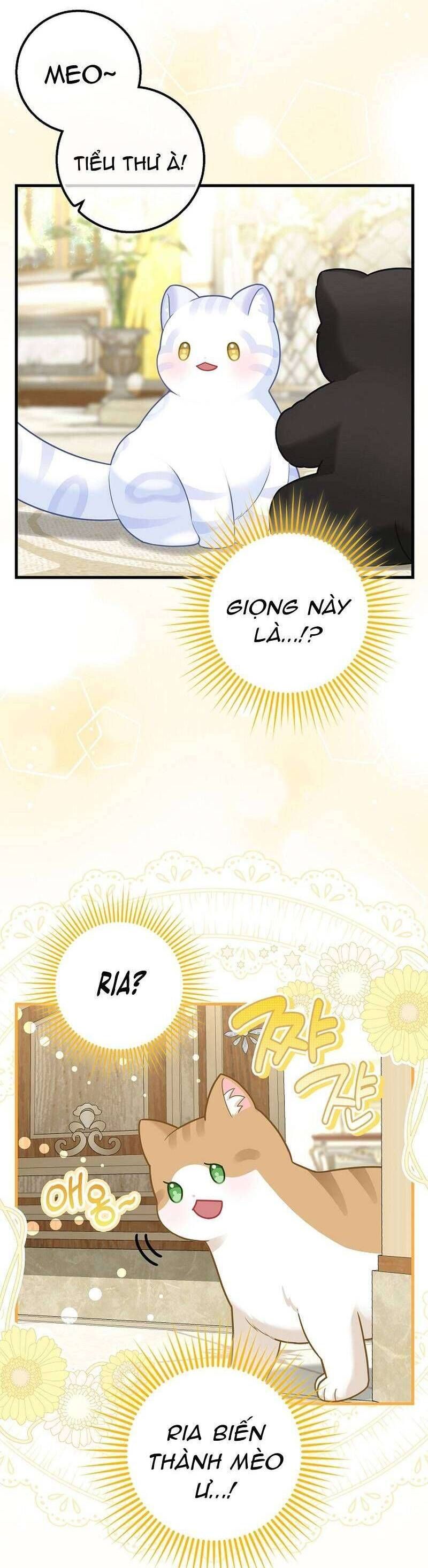 Bé Con Báo Tuyết Của Gia Tộc Báo Đen [Chap 1-45]