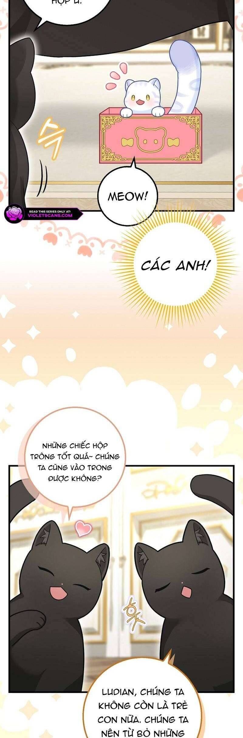 Bé Con Báo Tuyết Của Gia Tộc Báo Đen [Chap 1-45]
