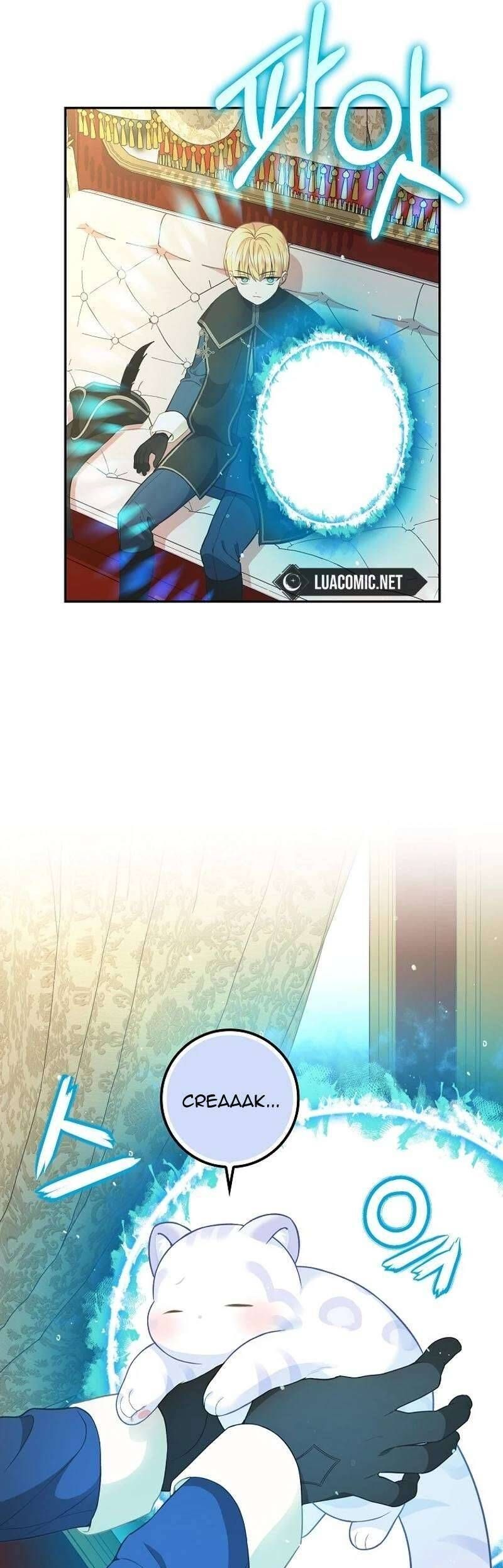 Bé Con Báo Tuyết Của Gia Tộc Báo Đen [Chap 1-45]