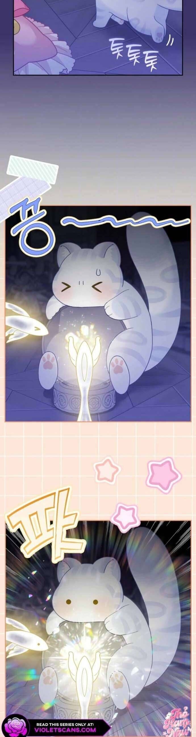 Bé Con Báo Tuyết Của Gia Tộc Báo Đen [Chap 1-45]