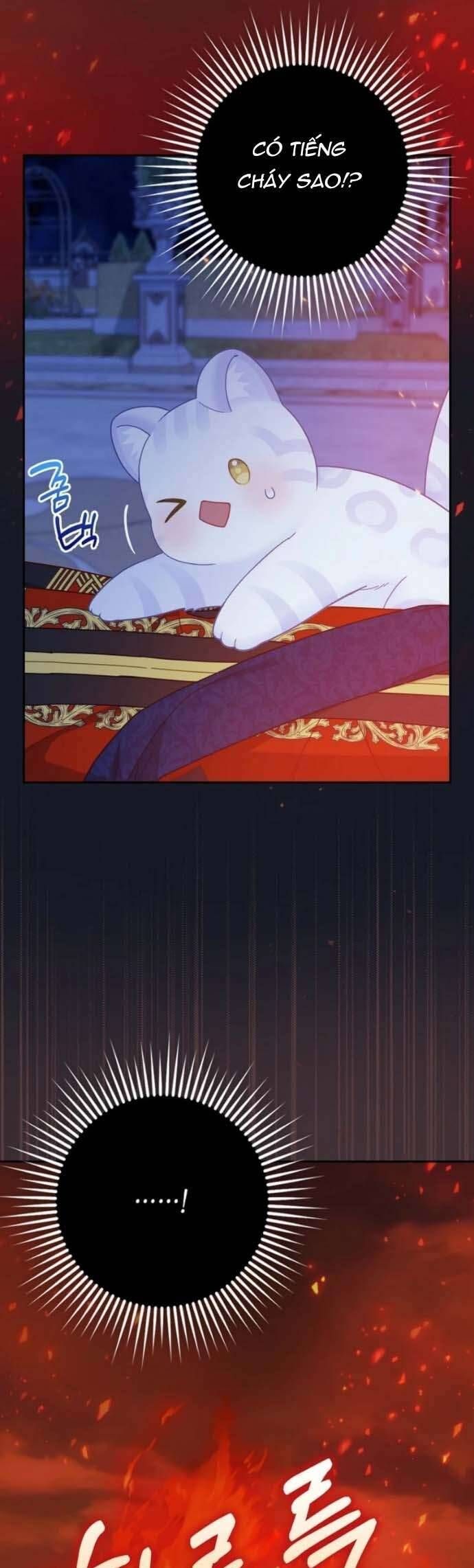 Bé Con Báo Tuyết Của Gia Tộc Báo Đen [Chap 1-45]