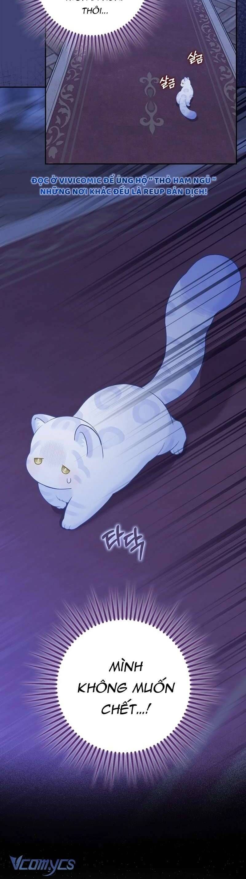 Bé Con Báo Tuyết Của Gia Tộc Báo Đen [Chap 1-45]