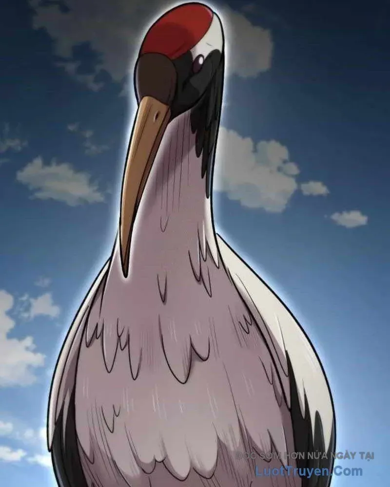 Sư Tôn Của Ta Luôn Dõi Theo [Chap 65]