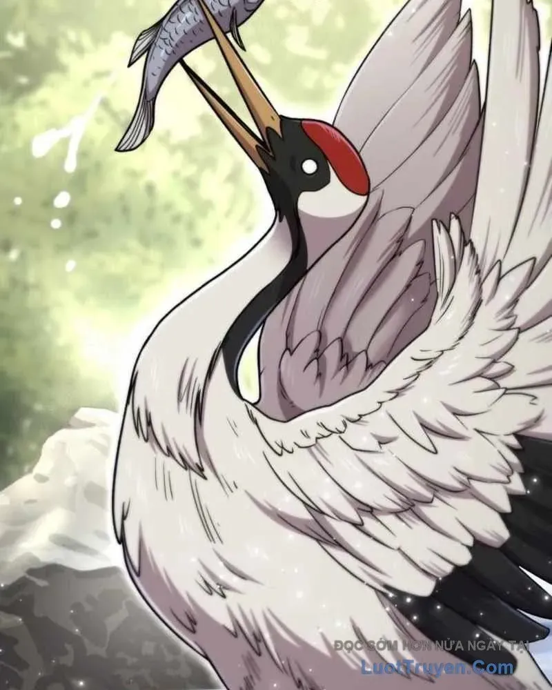 Sư Tôn Của Ta Luôn Dõi Theo [Chap 65]