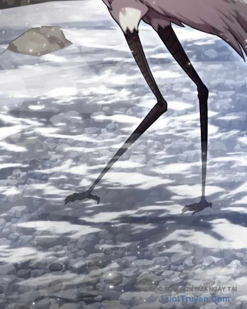 Sư Tôn Của Ta Luôn Dõi Theo [Chap 65]