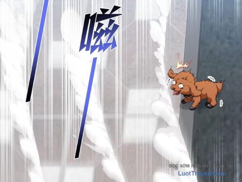 Bỏ làm simp chúa ta có trong tay cả tỉ thần hào Chap 254 - Next Chap 253