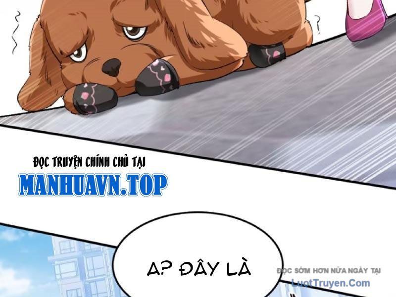 Bỏ làm simp chúa ta có trong tay cả tỉ thần hào Chap 254 - Next Chap 253