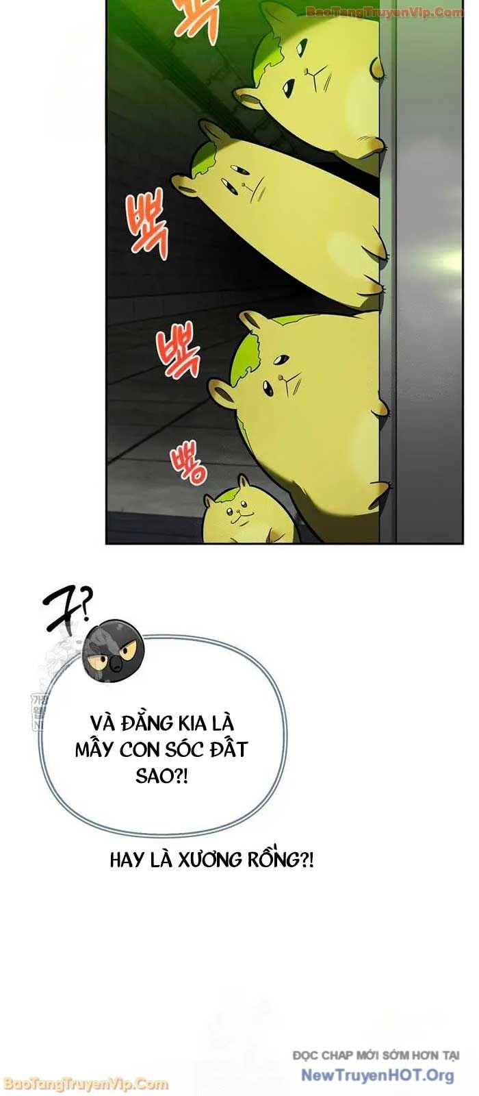 Healer Cấp S Chữa Trị Cho Quái Vật Chap 21.1 - Next Chap 20.2