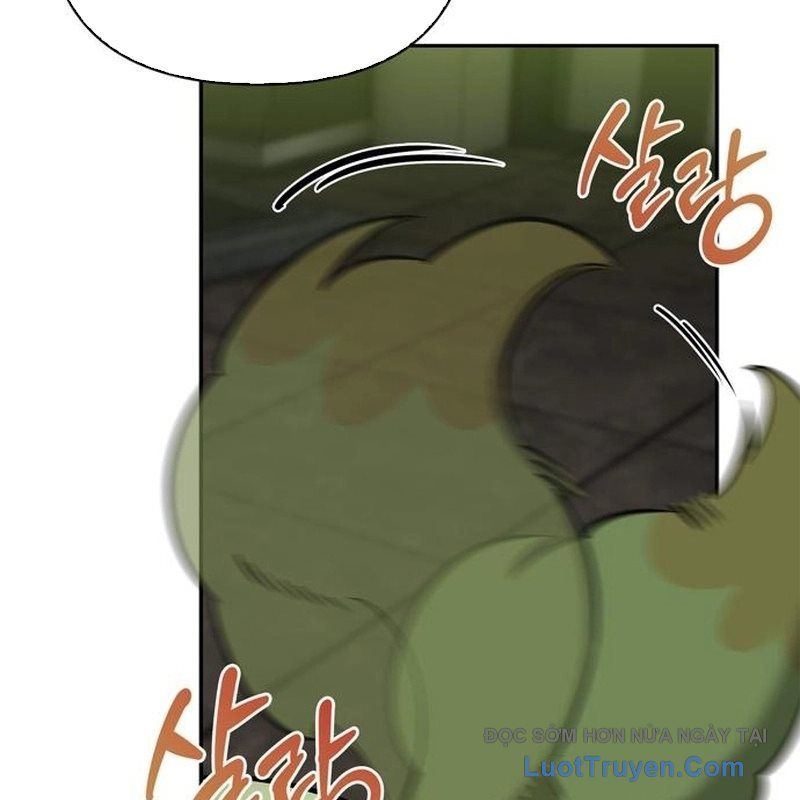 Healer Cấp S Chữa Trị Cho Quái Vật Chap 22 - Next Chap 21.1