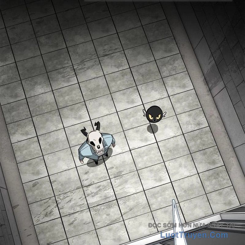 Healer Cấp S Chữa Trị Cho Quái Vật Chap 22 - Next Chap 21.1