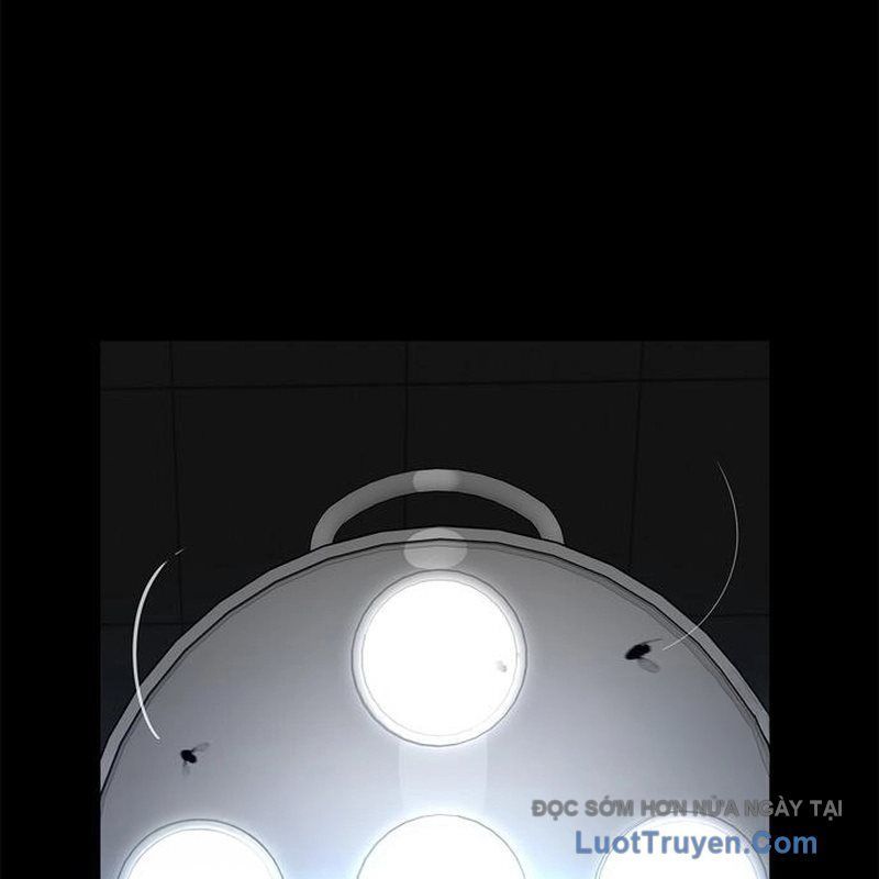 Healer Cấp S Chữa Trị Cho Quái Vật Chap 22 - Next Chap 21.1