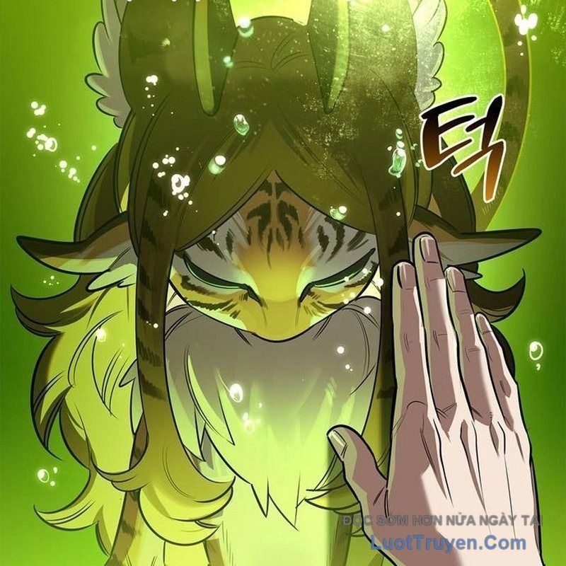 Healer Cấp S Chữa Trị Cho Quái Vật Chap 22 - Next Chap 21.1