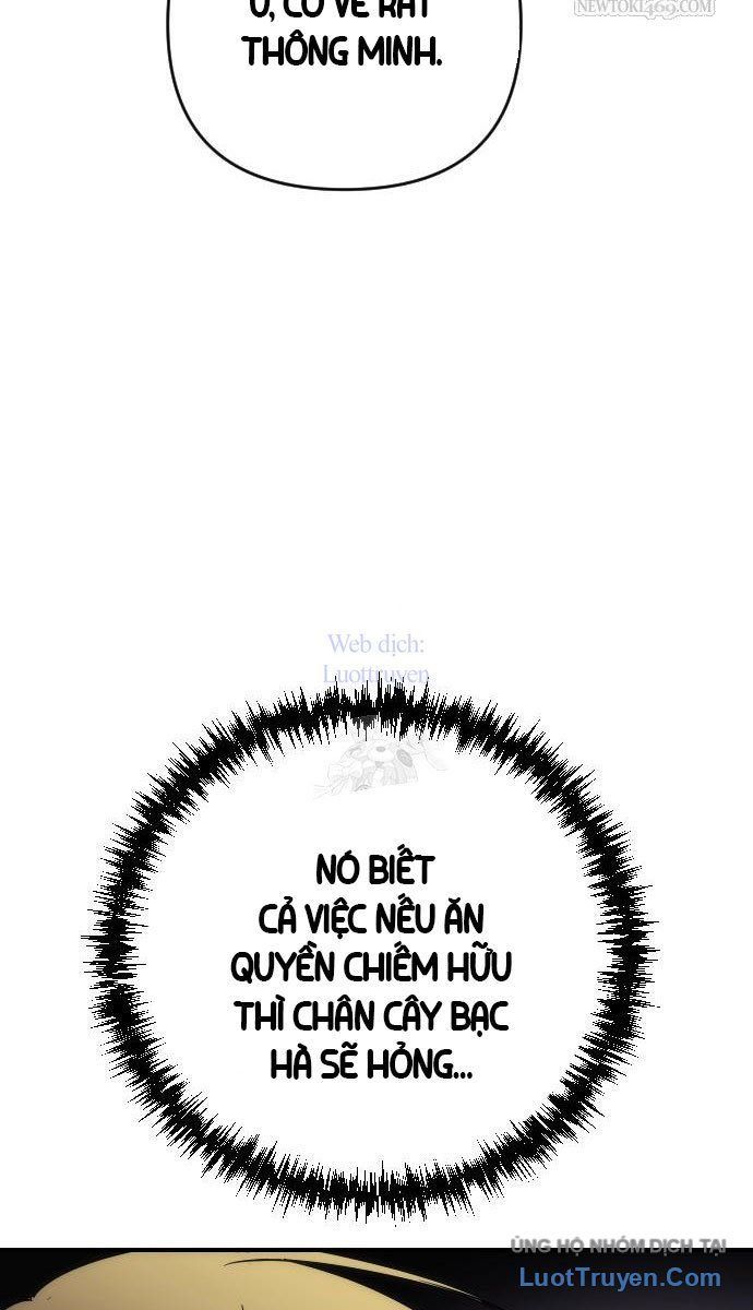 Thần Thịnh Vượng Chap 17 - Next Chap 16