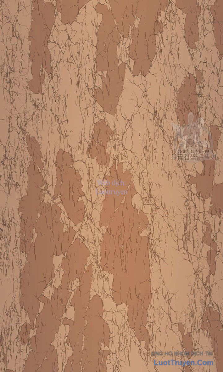 Một Mảnh Thời Gian Chap 14 - Next Chap 13