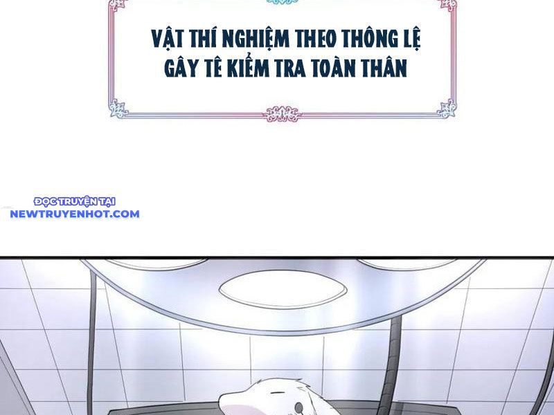 Luyện Kim Thuật Sĩ Tà Ác Không Trị Nổi Thể Thí Nghiệm Của Mình Chap 16 - Next Chap 15