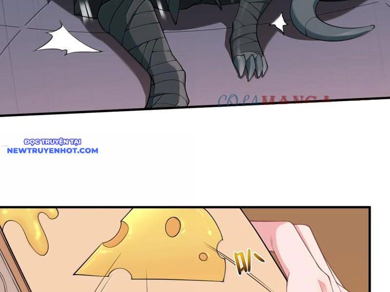 Luyện Kim Thuật Sĩ Tà Ác Không Trị Nổi Thể Thí Nghiệm Của Mình Chap 17 - Next Chap 16