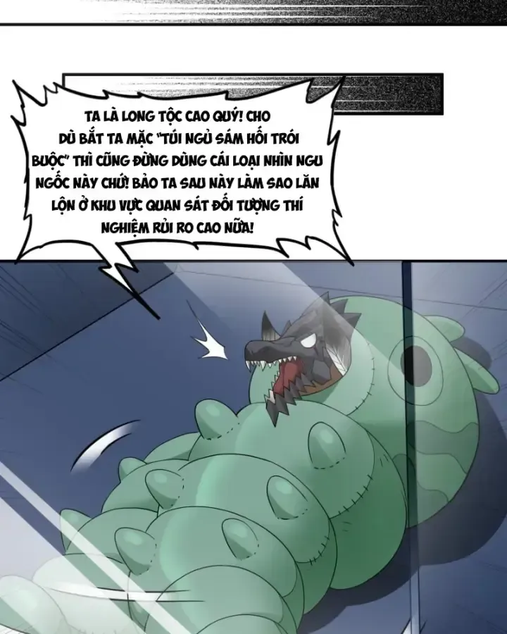 Luyện Kim Thuật Sĩ Tà Ác Không Trị Nổi Thể Thí Nghiệm Của Mình Chap 5 - Next Chap 4