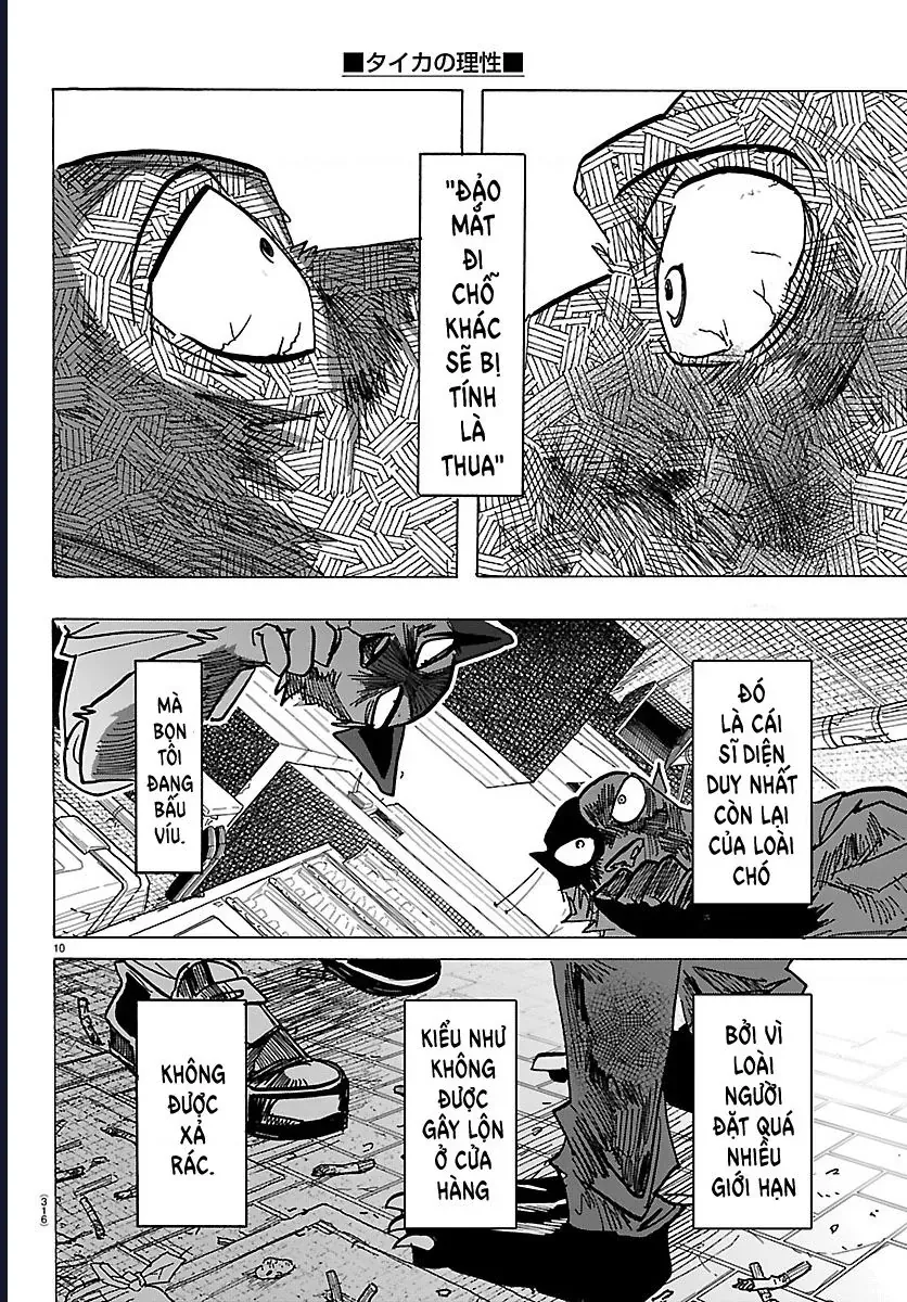 Lý Trí Của Taika Chap 42 - Next Chap 41