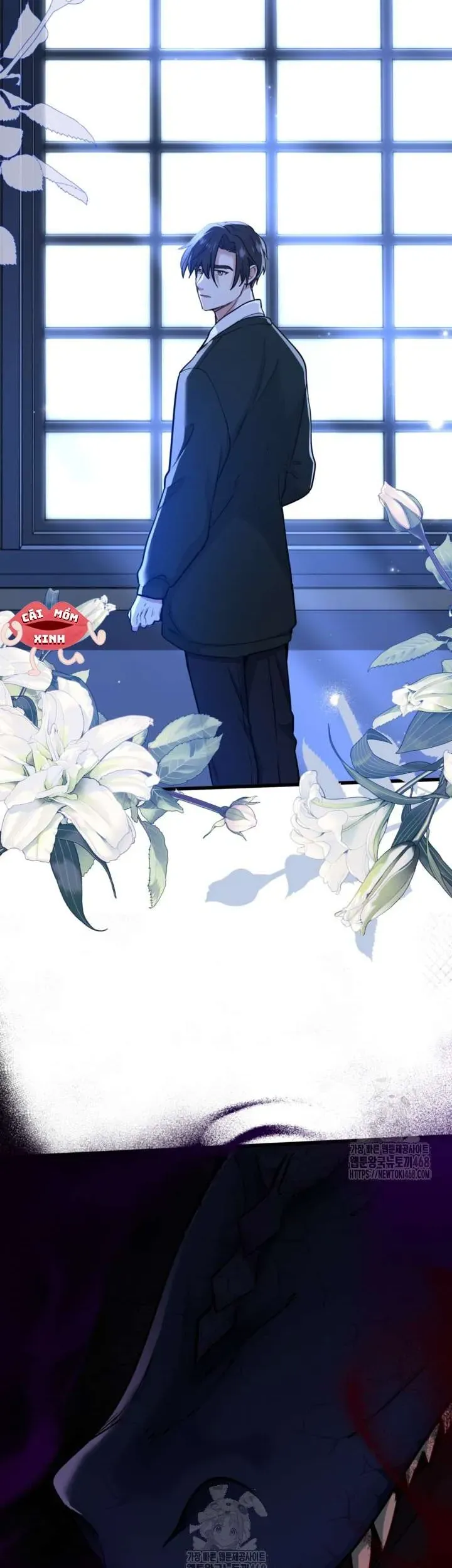 Bệ Hạ, Xin Hãy Quên Tôi Đi Chap 41 - Next Chap 40