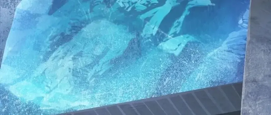 Câu Chuyện Sinh Tồn Của Kiếm Vương Ở Thế Giới Khác Chap 66 - Next Chap 65