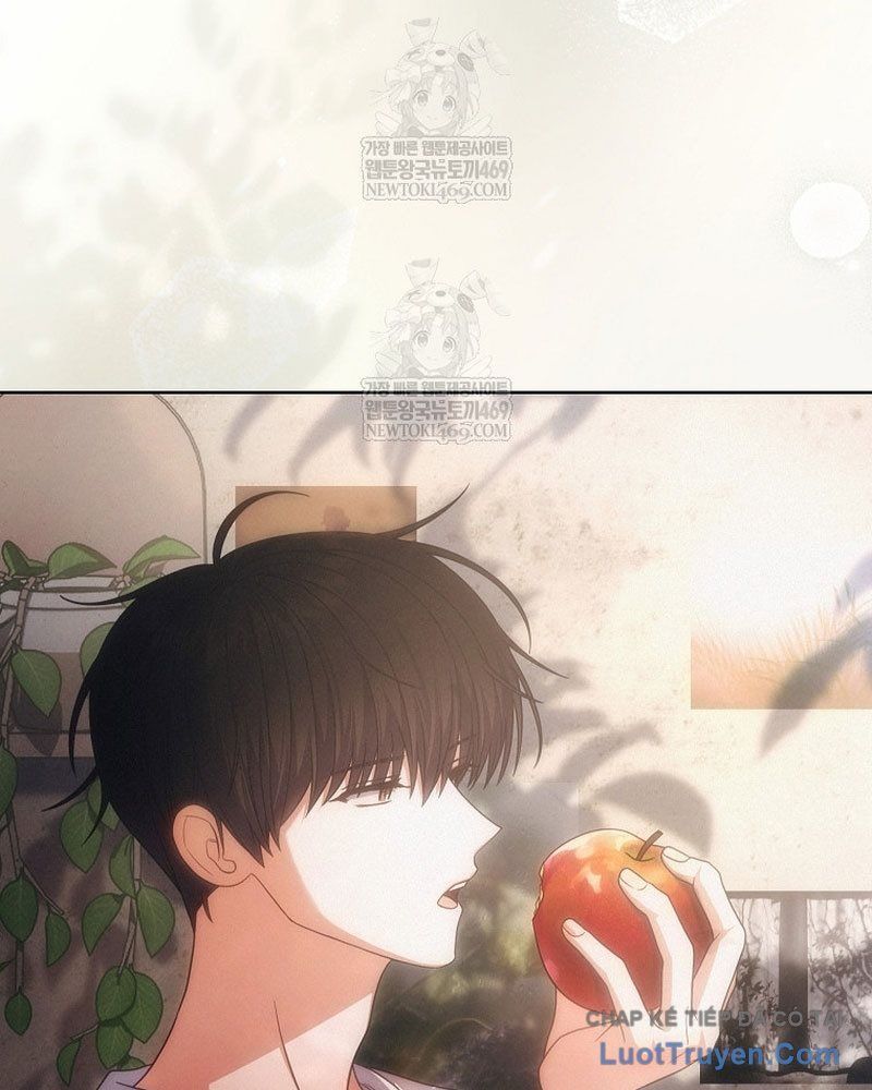 Ra Mắt Hay Ra Đi Chap 97 - Next Chap 96