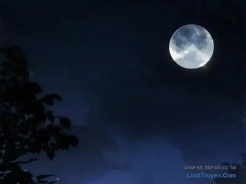 Giáo Chủ Ma Giáo Vụng Trộm Xem Ta Tu Luyện Chap 37 - Next Chap 36