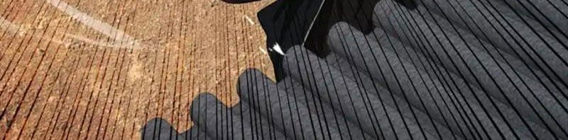 Gặp Mạnh Thì Càng Mạnh, Tu Vi Của Ta Không Giới Hạn Chap 91 - Next Chap 90