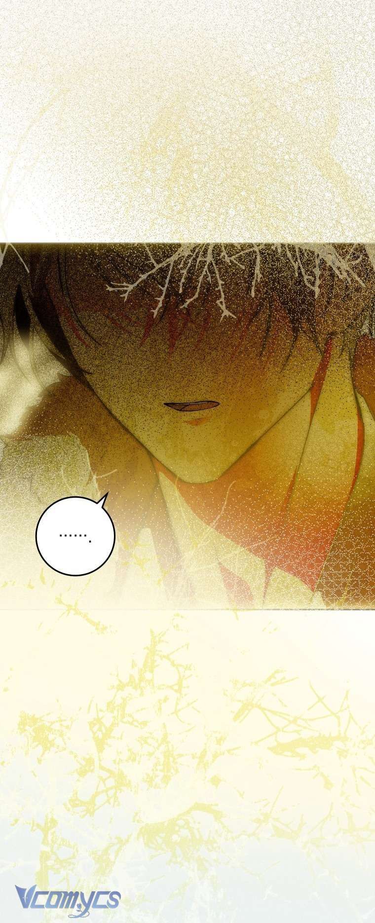 Người Vợ Hắc Ám Của Cậu Chồng Nhỏ Chap 27 - Next Chap 26