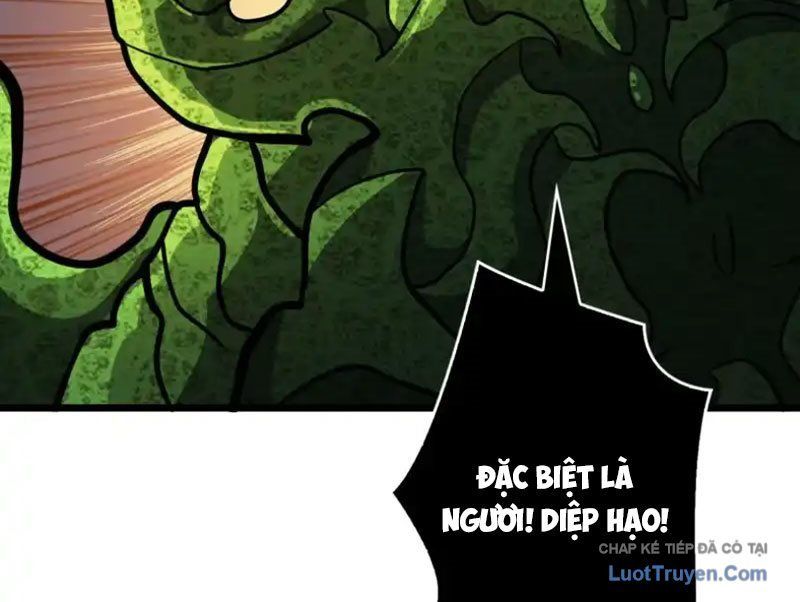 Vừa Chơi Đã Có Tài Khoản Vương Giả Chap 546 - Next Chap 545