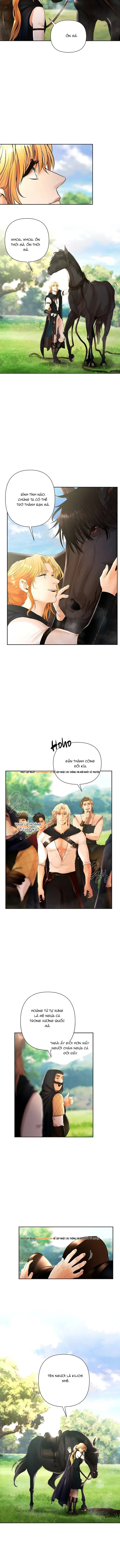 Nhiệm Vụ Chiến Binh Chap 32 - Next Chap 31