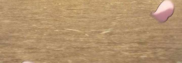 Cựu Chiến Binh Tối Thượng Chap 29 - Next Chap 28