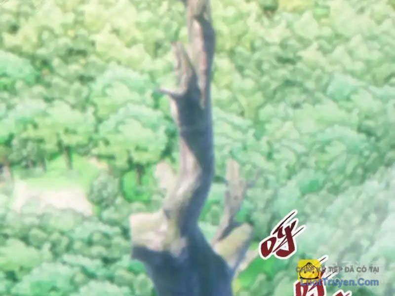 Mạt Thế Trùng Sinh: Ta Dựa Vào Mở Rương Vấn Dỉnh Đỉnh Phong Chap 76 - Next Chap 75