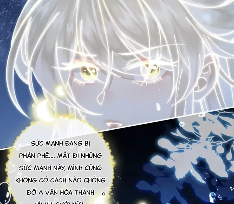 Đến Đông Hải Tìm Mỹ Nhân Chap 38 - Next Chap 37