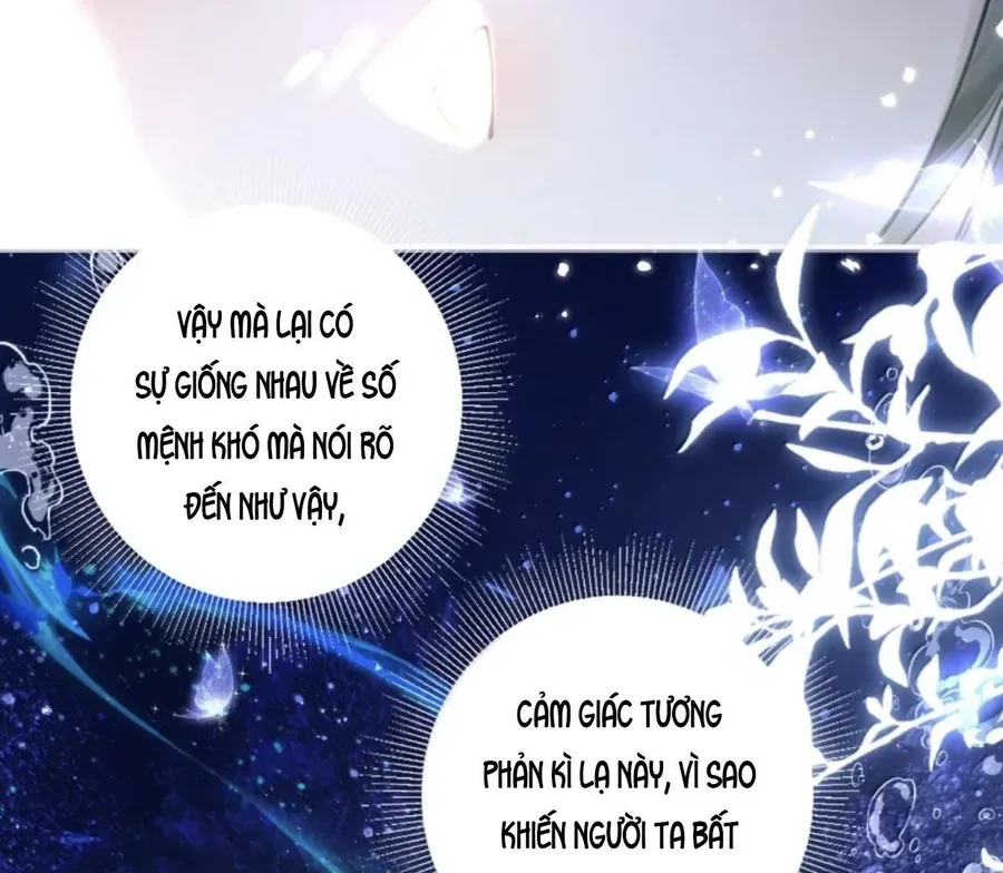 Đến Đông Hải Tìm Mỹ Nhân Chap 38 - Next Chap 37