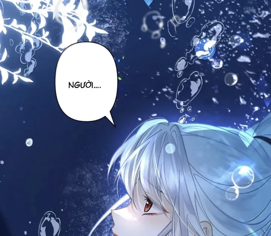 Đến Đông Hải Tìm Mỹ Nhân Chap 38 - Next Chap 37