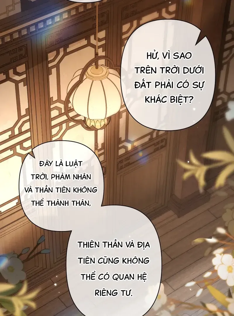 Đến Đông Hải Tìm Mỹ Nhân Chap 39 - Next Chap 38