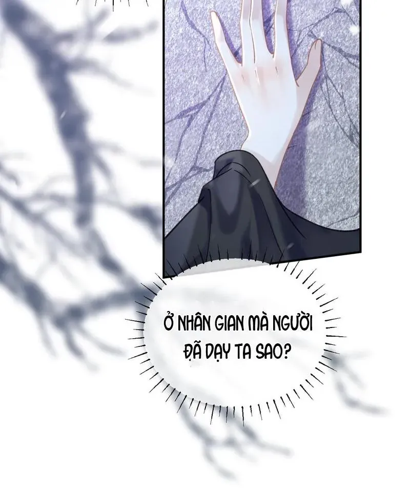 Đến Đông Hải Tìm Mỹ Nhân Chap 40 - Next Chap 39