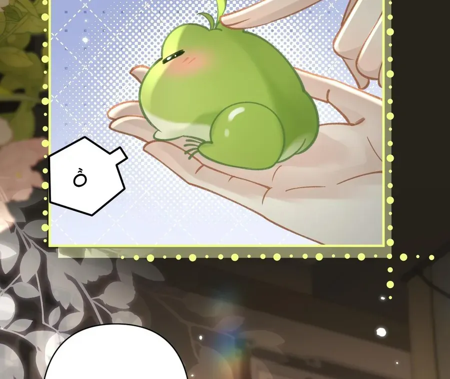 Đến Đông Hải Tìm Mỹ Nhân Chap 42 - Next Chap 41