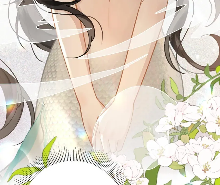 Đến Đông Hải Tìm Mỹ Nhân Chap 42 - Next Chap 41