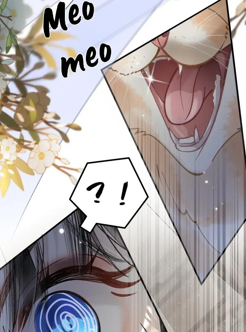 Đến Đông Hải Tìm Mỹ Nhân Chap 46 - Next Chap 45