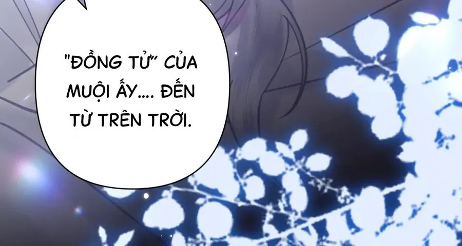 Đến Đông Hải Tìm Mỹ Nhân Chap 48 - Next Chap 47