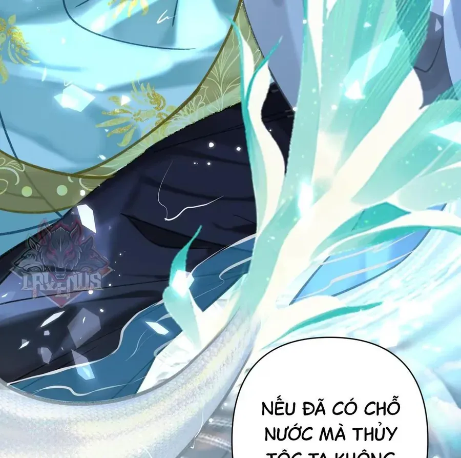 Đến Đông Hải Tìm Mỹ Nhân Chap 51 - Next Chap 50