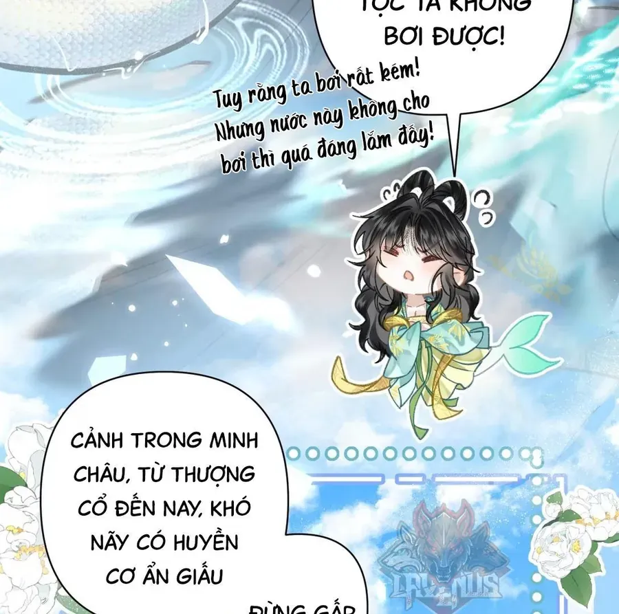 Đến Đông Hải Tìm Mỹ Nhân Chap 51 - Next Chap 50