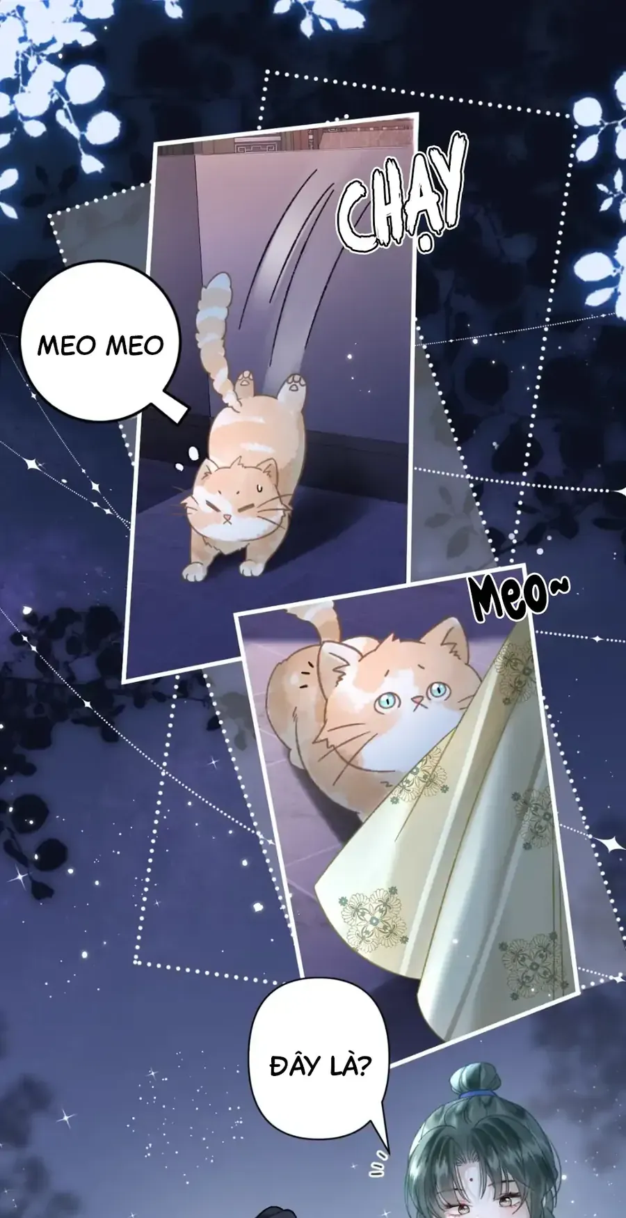 Đến Đông Hải Tìm Mỹ Nhân Chap 52 - Next Chap 51