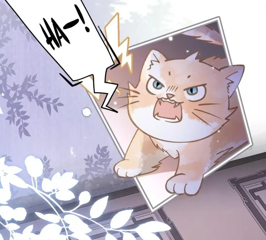 Đến Đông Hải Tìm Mỹ Nhân Chap 52 - Next Chap 51