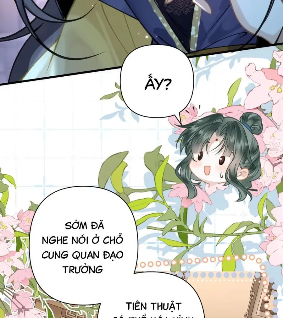 Đến Đông Hải Tìm Mỹ Nhân Chap 52 - Next Chap 51